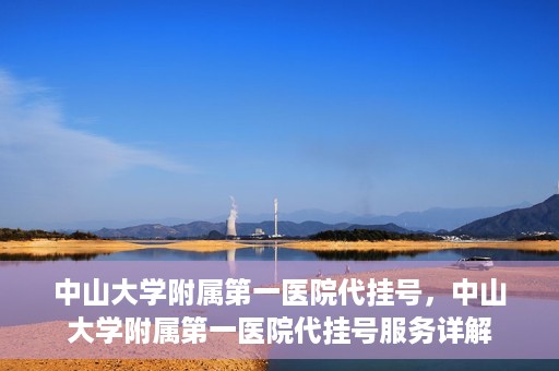 中山大学附属第一医院代挂号，中山大学附属第一医院代挂号服务详解