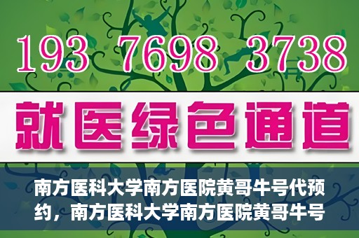 南方医科大学南方医院黄哥牛号代预约，南方医科大学南方医院黄哥牛号预约服务解析
