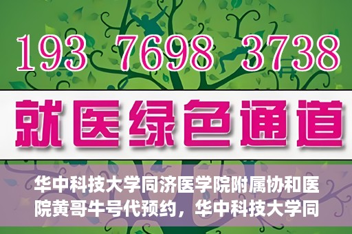 华中科技大学同济医学院附属协和医院黄哥牛号代预约，华中科技大学同济医学院附属协和医院预约服务揭秘，黄哥牛号代预约解析