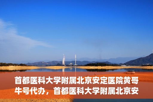 首都医科大学附属北京安定医院黄哥牛号代办，首都医科大学附属北京安定医院，黄哥牛号代办服务解析