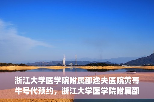 浙江大学医学院附属邵逸夫医院黄哥牛号代预约，浙江大学医学院附属邵逸夫医院黄哥牛号预约服务解析