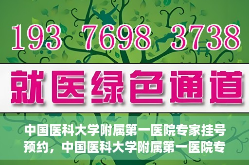 中国医科大学附属第一医院专家挂号预约，中国医科大学附属第一医院专家挂号预约攻略，一站式解决您的就医难题