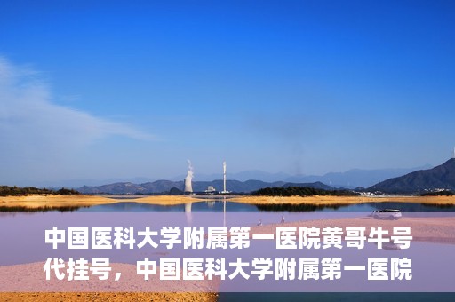 中国医科大学附属第一医院黄哥牛号代挂号，中国医科大学附属第一医院黄哥牛号代挂号服务详解