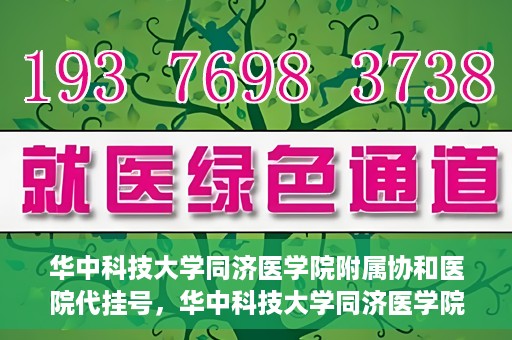 华中科技大学同济医学院附属协和医院代挂号，华中科技大学同济医学院附属协和医院代挂号服务详解