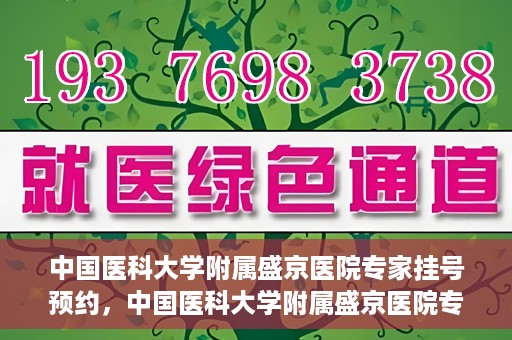 中国医科大学附属盛京医院专家挂号预约，中国医科大学附属盛京医院专家挂号预约攻略，一站式预约服务解析