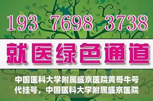 中国医科大学附属盛京医院黄哥牛号代挂号，中国医科大学附属盛京医院黄哥牛号代挂号背后的故事与真相揭秘