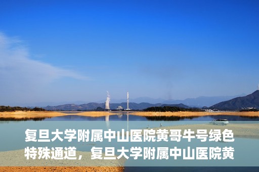 复旦大学附属中山医院黄哥牛号绿色特殊通道，复旦大学附属中山医院黄哥牛号，绿色特殊通道开启健康之门