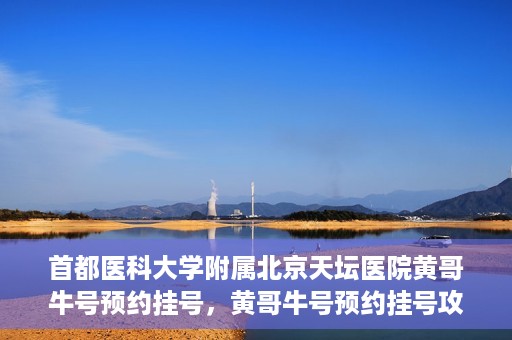 首都医科大学附属北京天坛医院黄哥牛号预约挂号，黄哥牛号预约挂号攻略，北京天坛医院就医指南