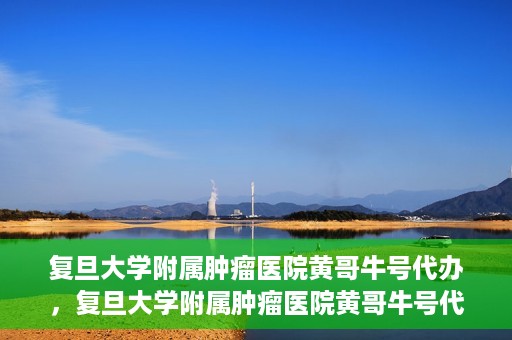 复旦大学附属肿瘤医院黄哥牛号代办，复旦大学附属肿瘤医院黄哥牛号代办，真相揭秘与深度解析