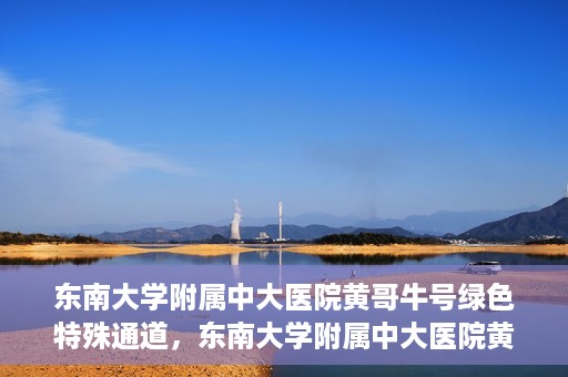 东南大学附属中大医院黄哥牛号绿色特殊通道，东南大学附属中大医院黄哥牛号，绿色特殊通道开启生命之门