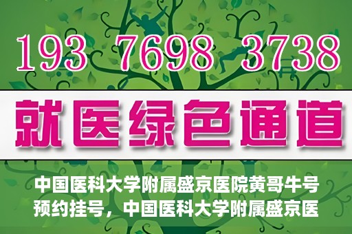 中国医科大学附属盛京医院黄哥牛号预约挂号，中国医科大学附属盛京医院黄哥牛号，预约挂号指南