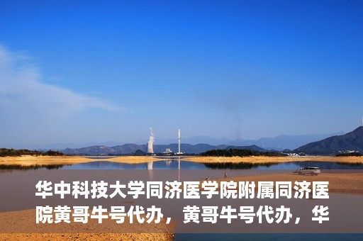 华中科技大学同济医学院附属同济医院黄哥牛号代办，黄哥牛号代办，华中科技大学同济医学院附属同济医院的便捷服务新探