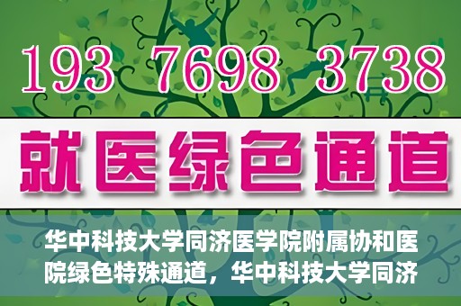 华中科技大学同济医学院附属协和医院绿色特殊通道，华中科技大学同济医学院附属协和医院，绿色特殊通道的探索与实践