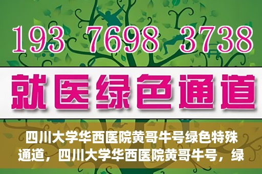 四川大学华西医院黄哥牛号绿色特殊通道，四川大学华西医院黄哥牛号，绿色特殊通道开启生命之门