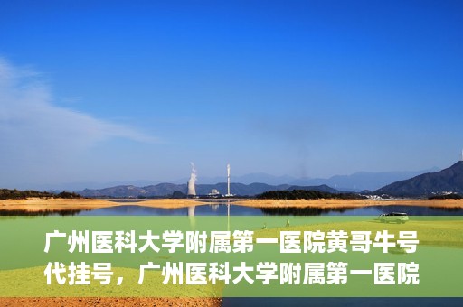 广州医科大学附属第一医院黄哥牛号代挂号，广州医科大学附属第一医院黄哥挂号攻略，轻松解决代挂号问题