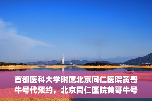 首都医科大学附属北京同仁医院黄哥牛号代预约，北京同仁医院黄哥牛号预约服务解析