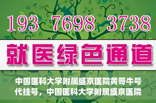 中国医科大学附属盛京医院黄哥牛号代挂号，中国医科大学附属盛京医院黄哥牛号代挂号背后的故事与真相揭秘