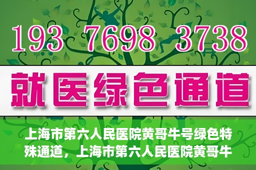 上海市第六人民医院黄哥牛号绿色特殊通道，上海市第六人民医院黄哥牛号，绿色特殊通道开启