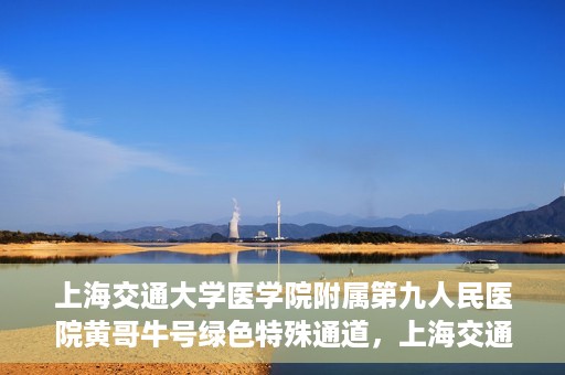 上海交通大学医学院附属第九人民医院黄哥牛号绿色特殊通道，上海交通大学医学院附属第九人民医院黄哥牛号，绿色特殊通道开启健康之门