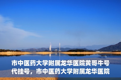 市中医药大学附属龙华医院黄哥牛号代挂号，市中医药大学附属龙华医院黄哥牛号代挂号服务解析