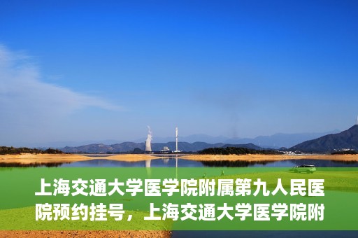上海交通大学医学院附属第九人民医院预约挂号，上海交通大学医学院附属第九人民医院预约挂号指南，轻松挂号，便捷就医新体验