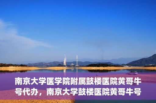 南京大学医学院附属鼓楼医院黄哥牛号代办，南京大学鼓楼医院黄哥牛号代办，就医新选择与信赖之选