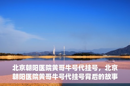北京朝阳医院黄哥牛号代挂号，北京朝阳医院黄哥牛号代挂号背后的故事揭秘
