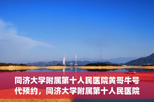 同济大学附属第十人民医院黄哥牛号代预约，同济大学附属第十人民医院黄哥牛号预约服务启动