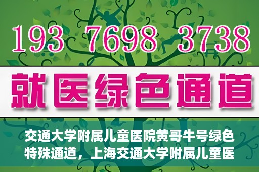 交通大学附属儿童医院黄哥牛号绿色特殊通道，上海交通大学附属儿童医院黄哥牛号绿色特殊通道揭秘