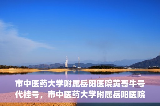 市中医药大学附属岳阳医院黄哥牛号代挂号，市中医药大学附属岳阳医院黄哥牛号代挂号服务解析