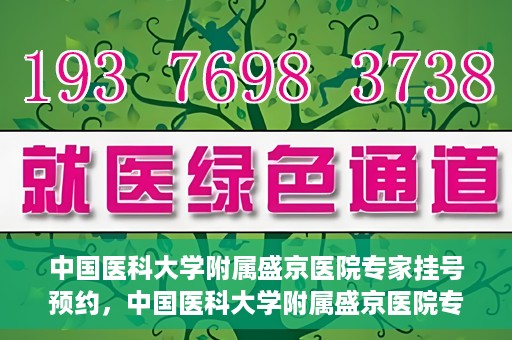 中国医科大学附属盛京医院专家挂号预约，中国医科大学附属盛京医院专家挂号预约攻略，一站式预约服务解析