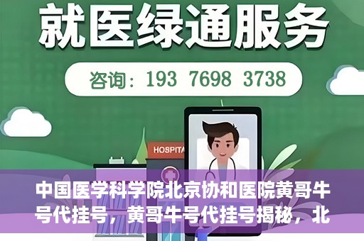 中国医学科学院北京协和医院黄哥牛号代挂号，黄哥牛号代挂号揭秘，北京协和医院挂号背后的故事