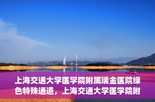 上海交通大学医学院附属瑞金医院绿色特殊通道，上海交通大学医学院附属瑞金医院绿色特殊通道，打造医疗服务的快速通道与高效体验