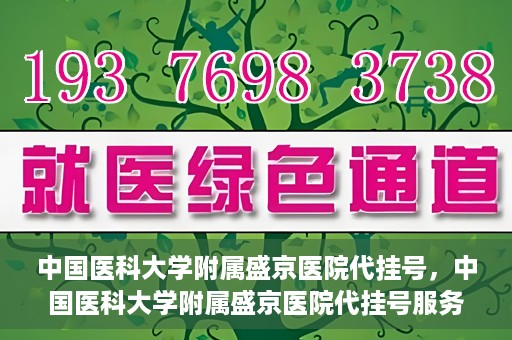 中国医科大学附属盛京医院代挂号，中国医科大学附属盛京医院代挂号服务详解