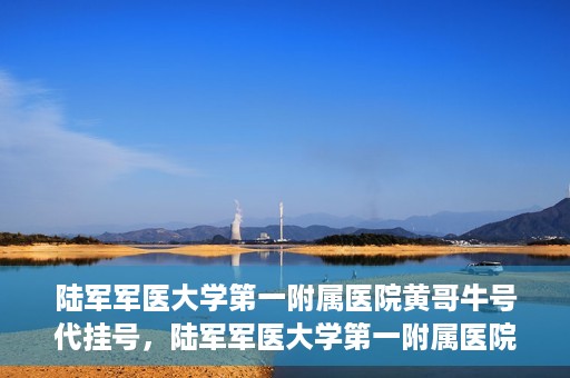 陆军军医大学第一附属医院黄哥牛号代挂号，陆军军医大学第一附属医院黄哥牛号助您轻松挂号就医