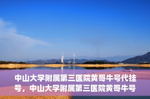 中山大学附属第三医院黄哥牛号代挂号，中山大学附属第三医院黄哥牛号助您轻松挂号就医