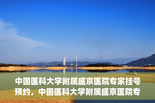 中国医科大学附属盛京医院专家挂号预约，中国医科大学附属盛京医院专家挂号预约攻略，一站式预约服务解析