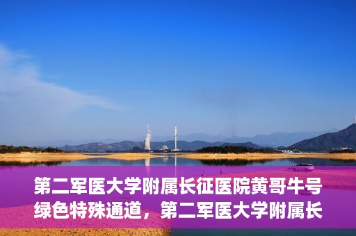 第二军医大学附属长征医院黄哥牛号绿色特殊通道，第二军医大学附属长征医院黄哥牛号，绿色特殊通道的医学之光