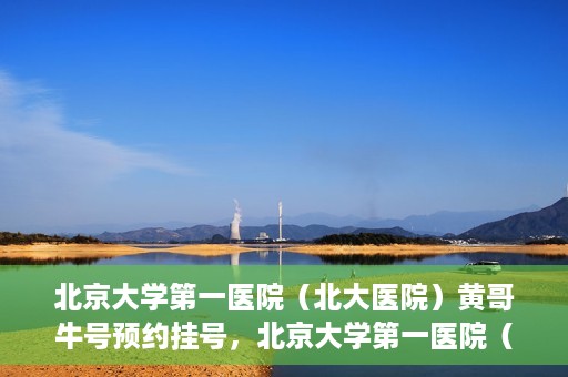 北京大学第一医院（北大医院）黄哥牛号预约挂号，北京大学第一医院（北大医院）黄哥牛号，预约挂号攻略