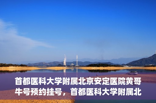 首都医科大学附属北京安定医院黄哥牛号预约挂号，首都医科大学附属北京安定医院黄哥牛号预约挂号指南