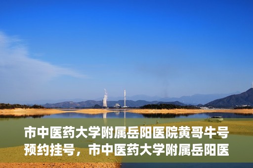 市中医药大学附属岳阳医院黄哥牛号预约挂号，市中医药大学附属岳阳医院黄哥牛号预约挂号攻略