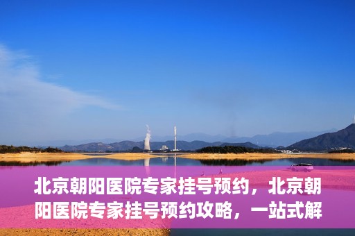 北京朝阳医院专家挂号预约，北京朝阳医院专家挂号预约攻略，一站式解决您的就医难题