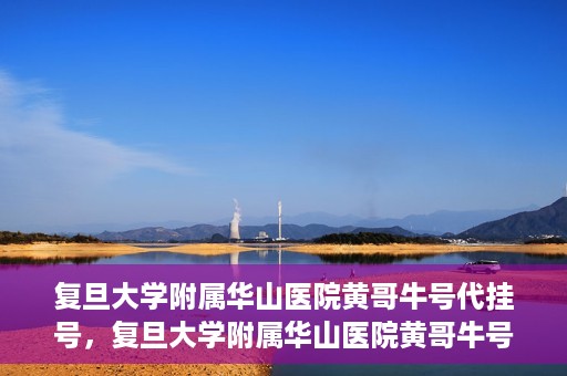 复旦大学附属华山医院黄哥牛号代挂号，复旦大学附属华山医院黄哥牛号代挂号服务详解