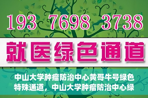 中山大学肿瘤防治中心黄哥牛号绿色特殊通道，中山大学肿瘤防治中心绿色特殊通道——黄哥牛号的守护力量