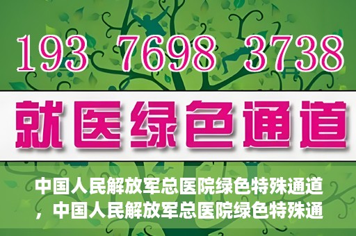 中国人民解放军总医院绿色特殊通道，中国人民解放军总医院绿色特殊通道，医疗服务的紧急通道与人文关怀的完美结合