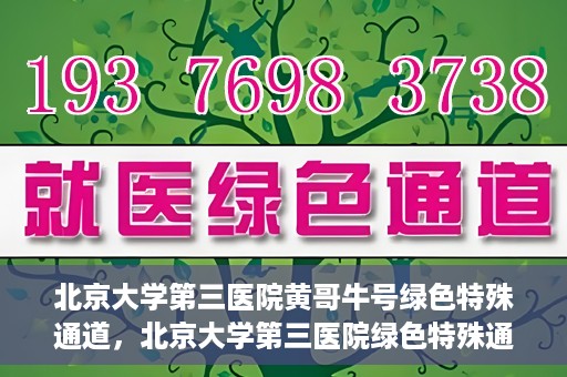 北京大学第三医院黄哥牛号绿色特殊通道，北京大学第三医院绿色特殊通道，黄哥牛号的探索与实践