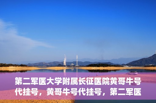 第二军医大学附属长征医院黄哥牛号代挂号，黄哥牛号代挂号，第二军医大学附属长征医院的便捷就医之路