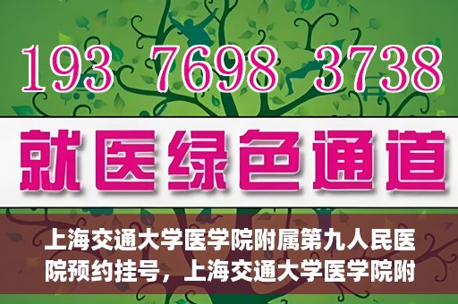 上海交通大学医学院附属第九人民医院预约挂号，上海交通大学医学院附属第九人民医院预约挂号指南，轻松挂号，便捷就医新体验