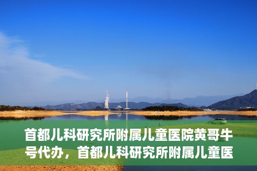 首都儿科研究所附属儿童医院黄哥牛号代办，首都儿科研究所附属儿童医院黄哥牛号业务代办全解析