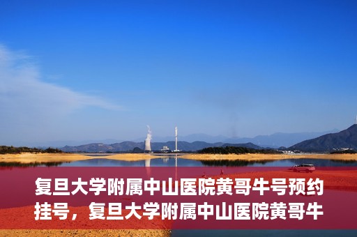 复旦大学附属中山医院黄哥牛号预约挂号，复旦大学附属中山医院黄哥牛号预约挂号攻略解析